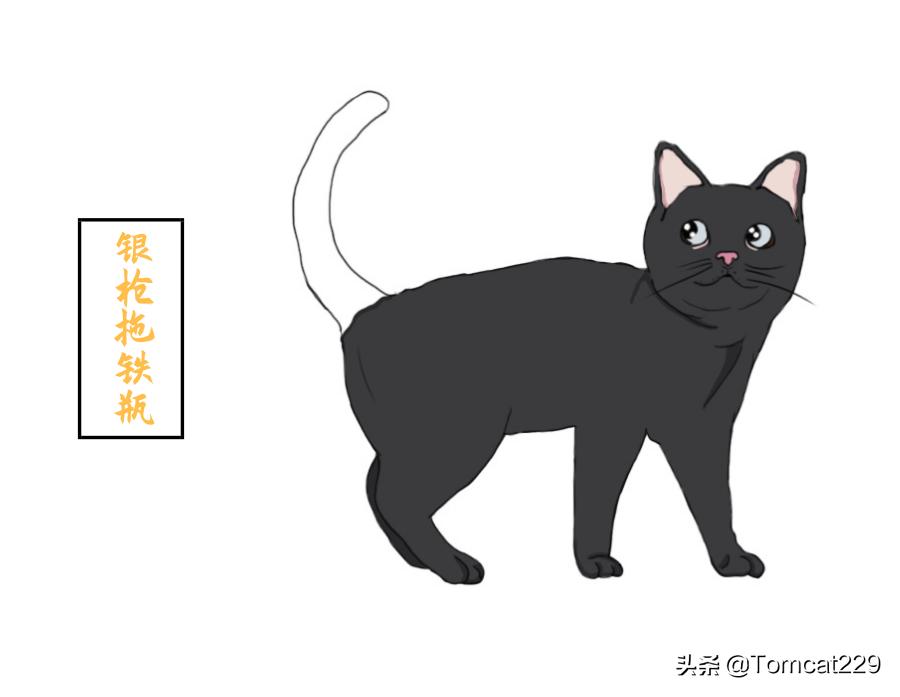 古代是如何给猫咪取名字的,古人给猫取名字