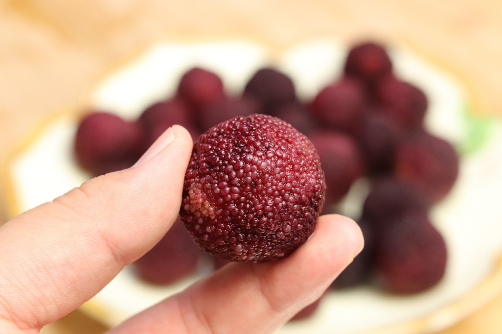 杨梅如何洗出小虫子,如何洗杨梅不会吃到虫子