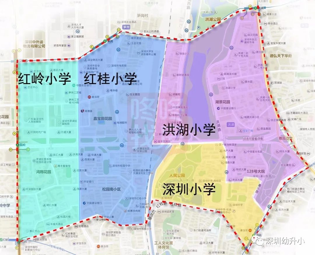 深圳好的双语小学,深圳2023优质小学校排名