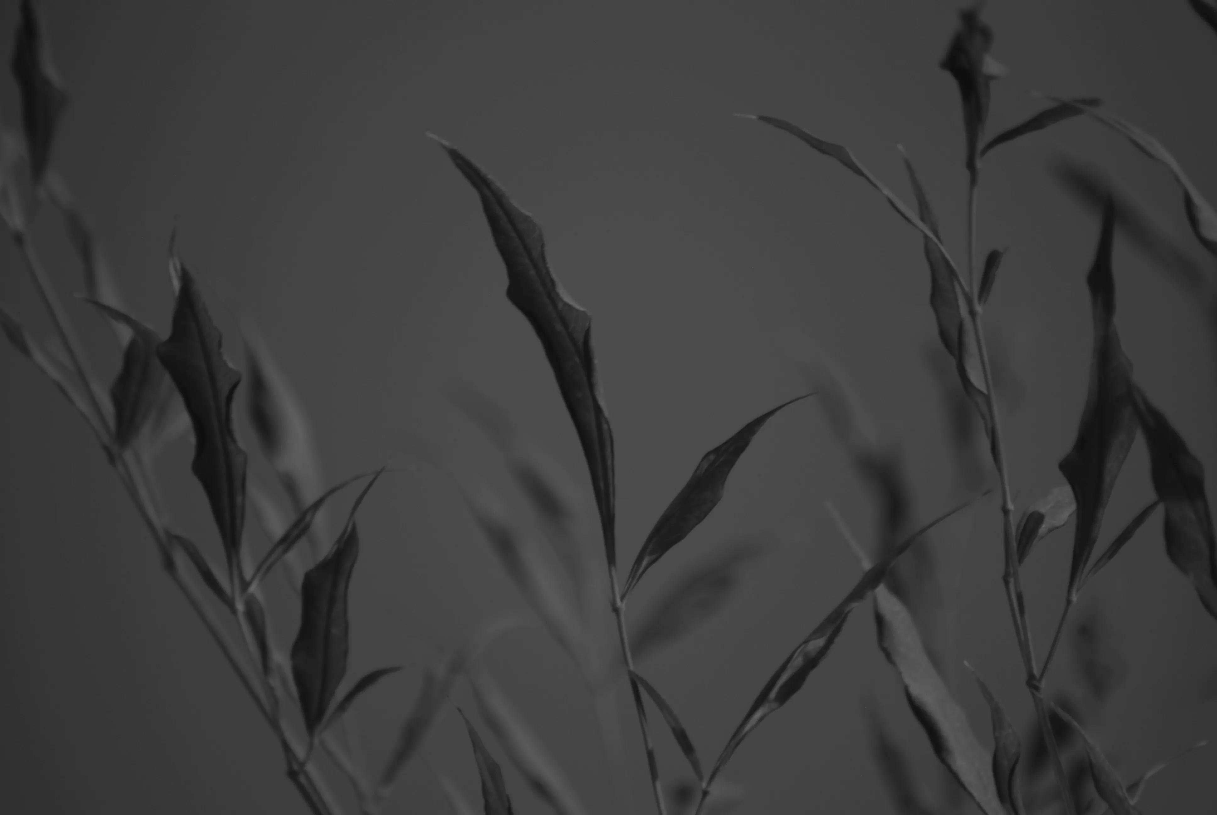 1000元二手全画幅单反相机推荐,2022最建议买的二手单反相机