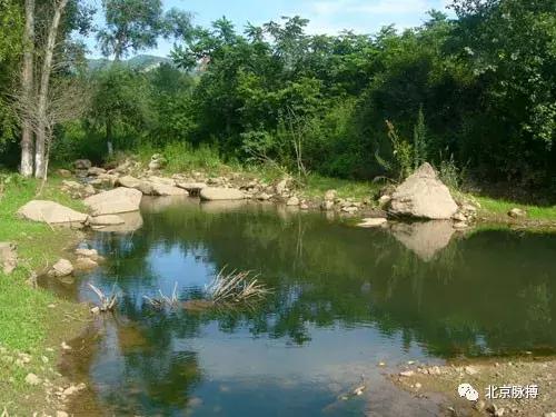 画说回龙观,北京最漂亮的森林公园