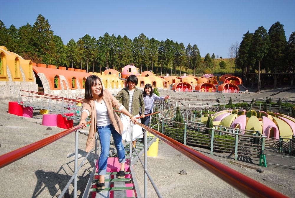 比大熊猫还濒危的小熊猫,比熊猫更稀有的小熊