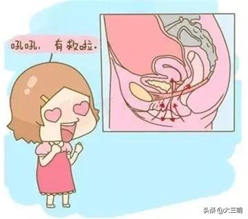 「盆底康复」被忽视的盆底让女人尴尬且难受