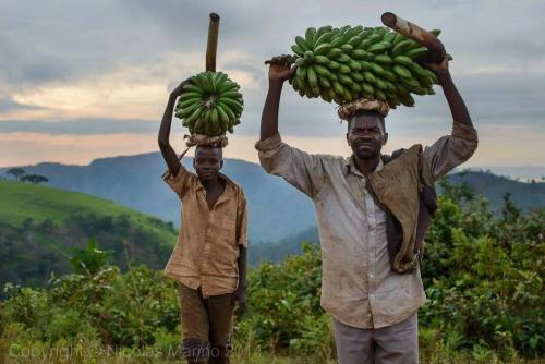 非洲布隆迪，最不发达国家之一，一辆“二八大杠”能养活一家人