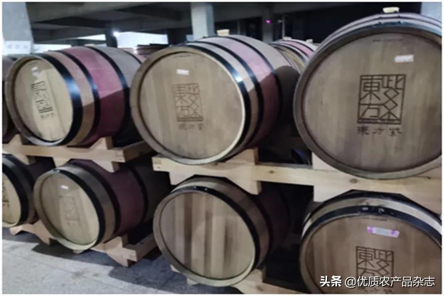 桑叶养蚕织丝绸，桑果精酿成紫酒！桑葚酿酒开创“紫酒”新品类
