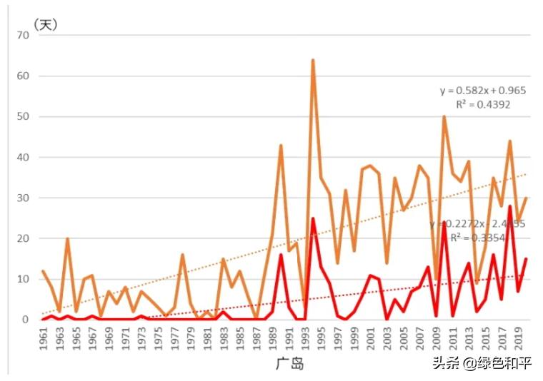 东京奥运会最意外的金牌,今年东京奥运会创造了哪些纪录