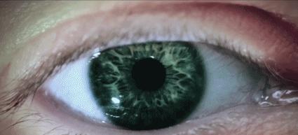 王炸组合还能复出吗,王炸组合怎么复出