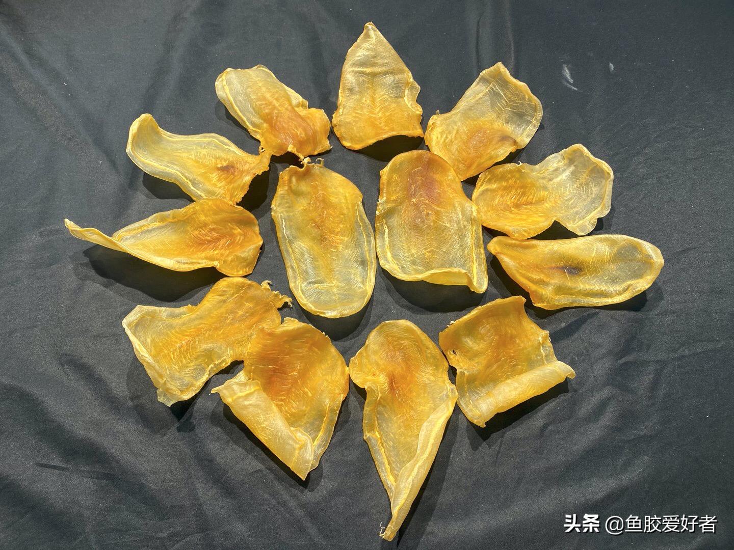 白花胶鱼胶的功效与作用及禁忌症,白花鱼胶属于什么档次
