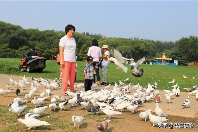 北京紫玉山庄有什么好玩的,紫玉山庄旅游度假