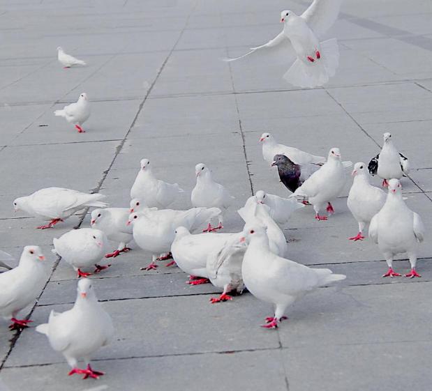 出现这几种情况一定要引起重视,出现这些症状你就要留意了