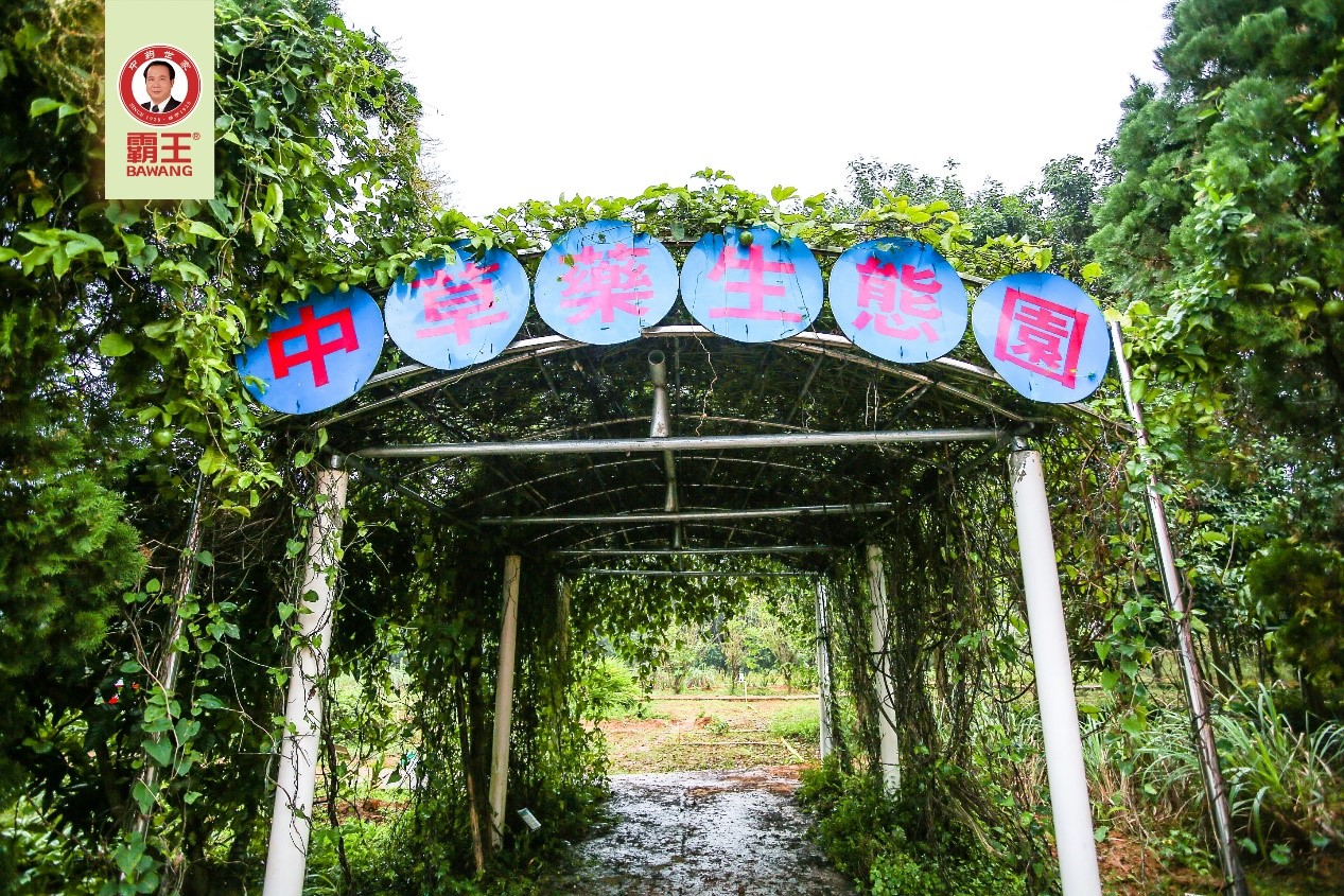 “买买买”有保障！京东溯源检查团带你探访霸王洗发水品质源头