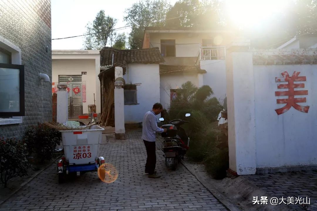 我和凉亭乡熊湾的故事——大爷•古树