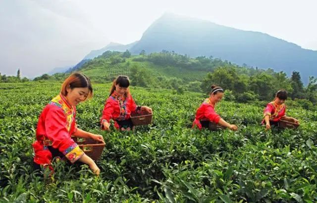 四川平武有个遗落人间的仙境,平武特色游玩景区