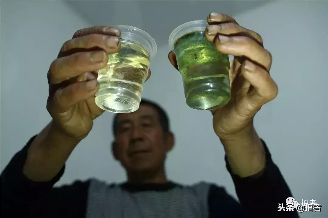 十二年，一纪一轮回｜新京报摄影记者尹亚飞年度作品