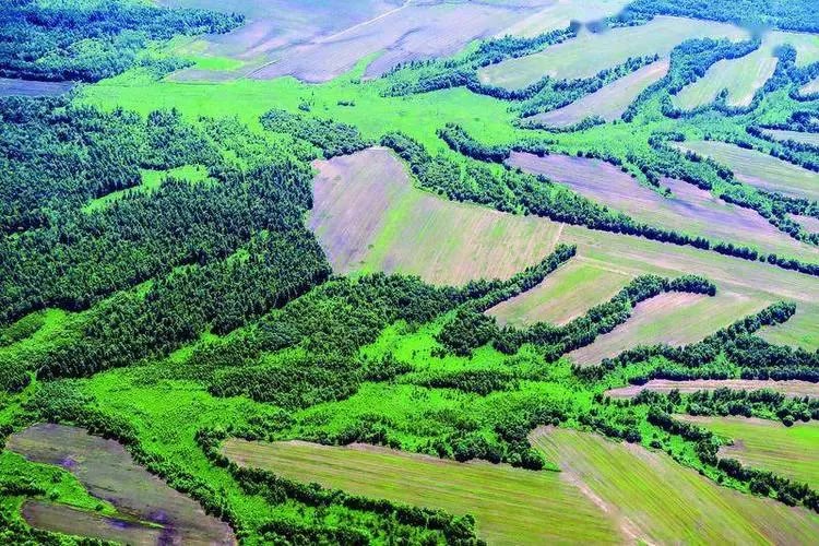 中科院西北生态环境研究院官网,中国科学院研究所招聘信息