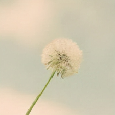 上汽大众创新成果,上汽大众新出了一款轿车