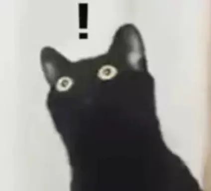 猫是一种液体吗看完长知识了,猫是液体猫咪吗