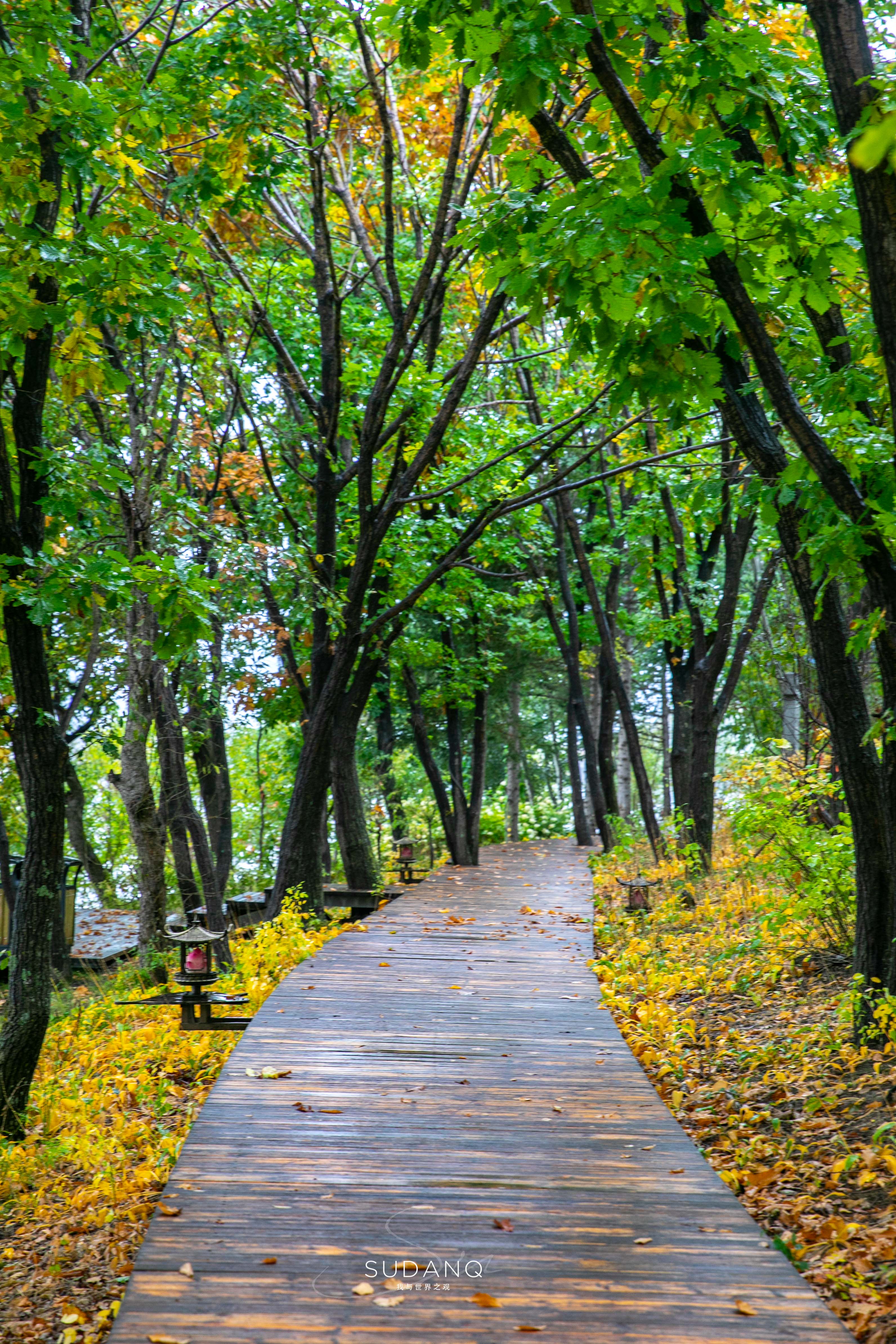 吉林延边日常饮食,韩国和延边饮食