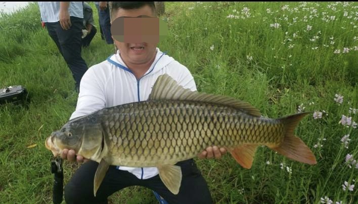 1.5号尼龙线可以提几斤重的鱼,1.75号尼龙线可以钓几斤重的鱼