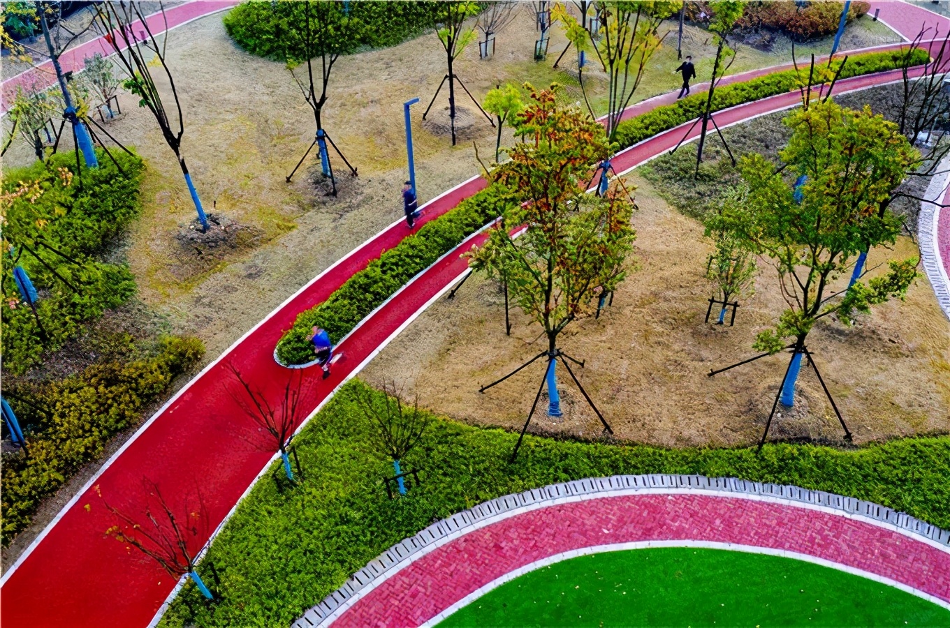 藏不住了这片樱花林免门票免预约,藏不住的傅先生