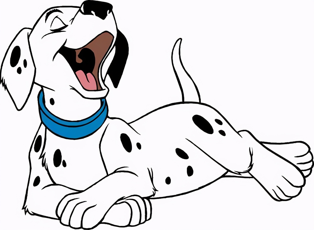 斑点狗小到大的变化,斑点狗jsk和全套有什么区别