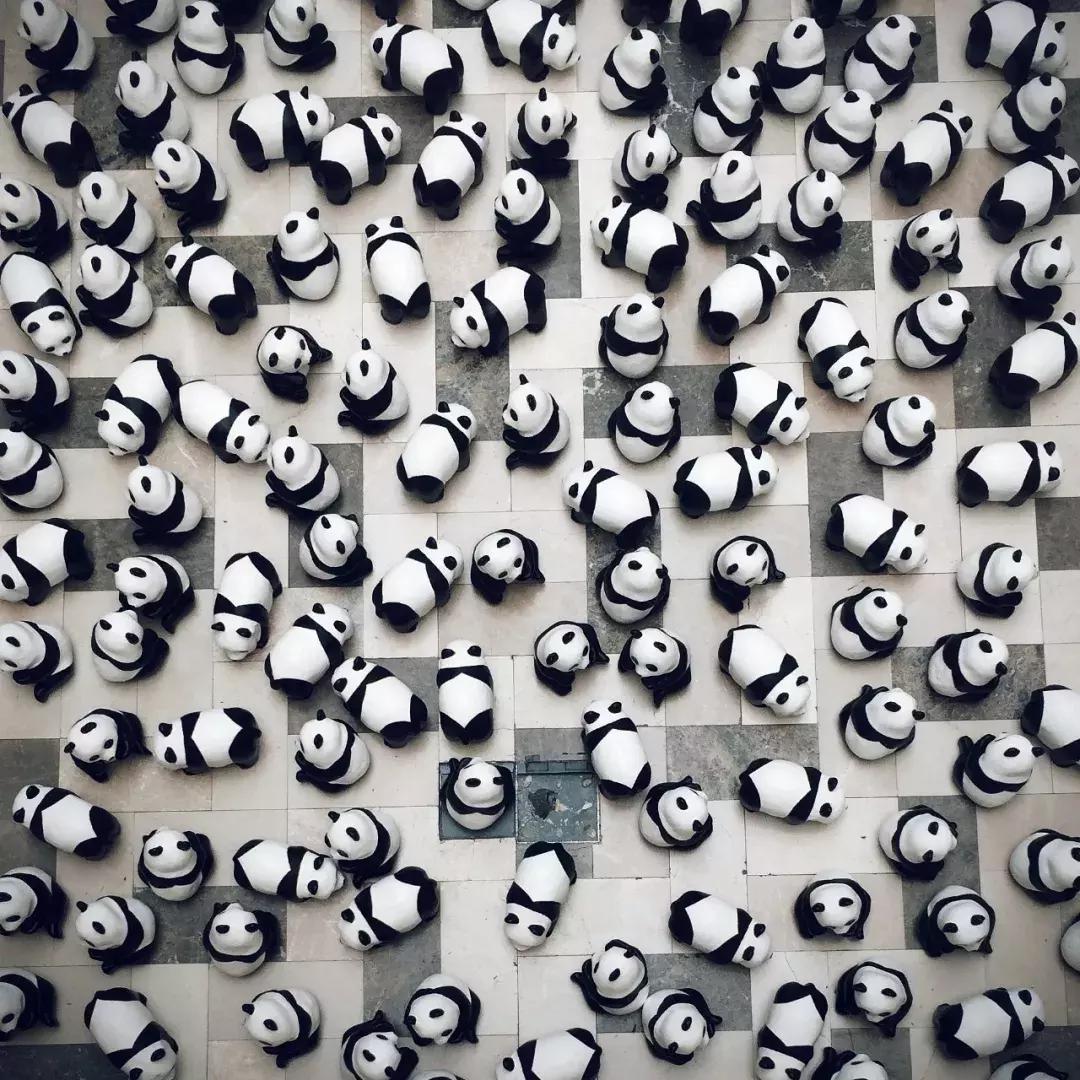 你才可爱你全家都可爱怎么回,你才可爱你全家都可爱出处