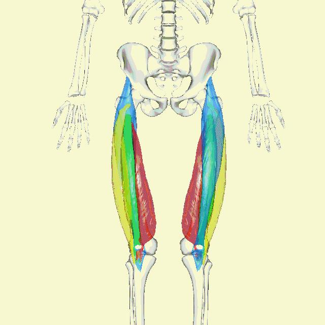 天气冷运动护膝推荐哪种,天气冷了保暖护膝