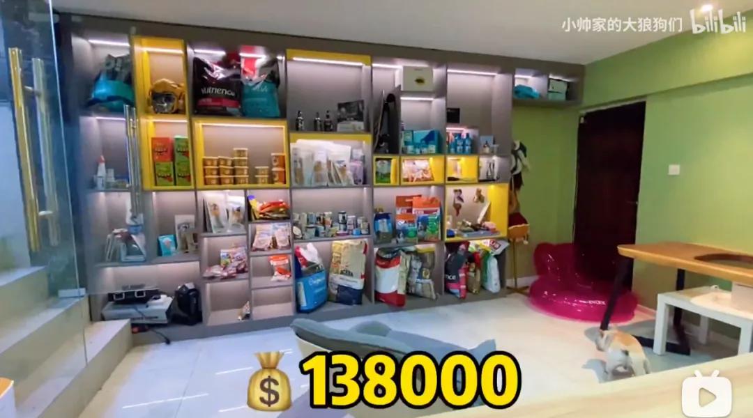 花三年建宠物乐园,花20万给狗打造乐园