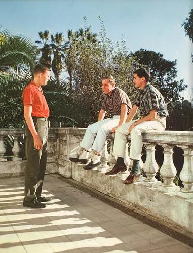 夏日裤装新选择,夏季必入款裤装