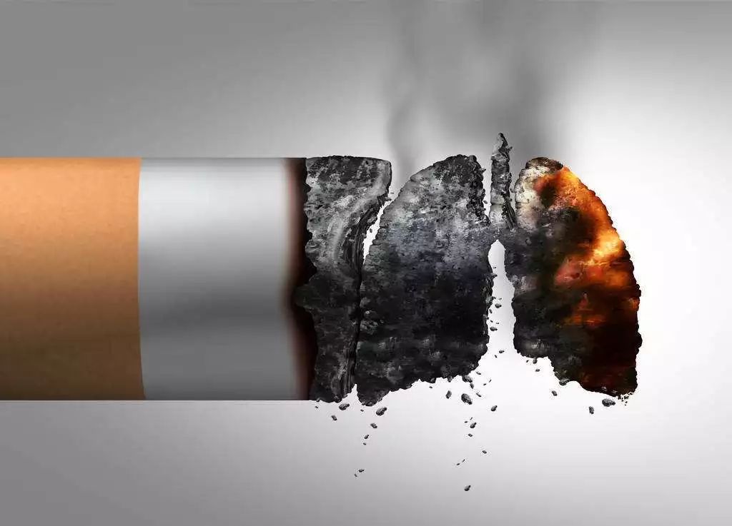 白发是如何形成的原因,白发形成