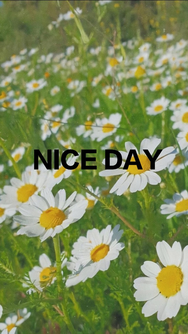 新手怎么买股票,新手看股票走势图