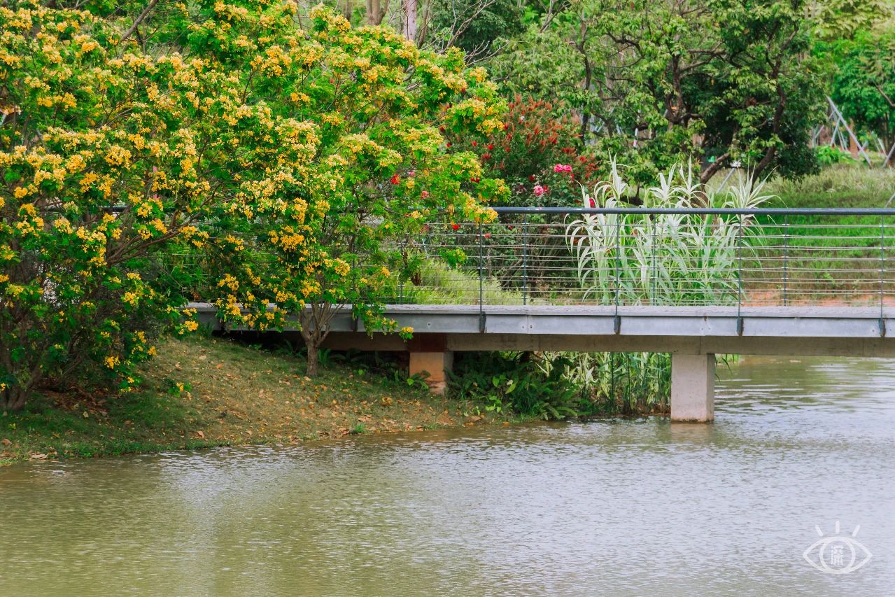 深圳3号线有哪些可以玩的,深圳7号线攻略