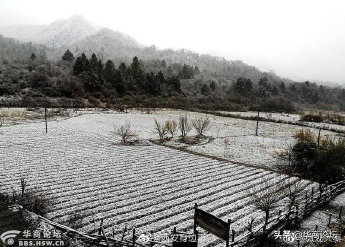 陕西安康14岁少女性侵案,陕西安康13岁女孩遭姑父长期施暴