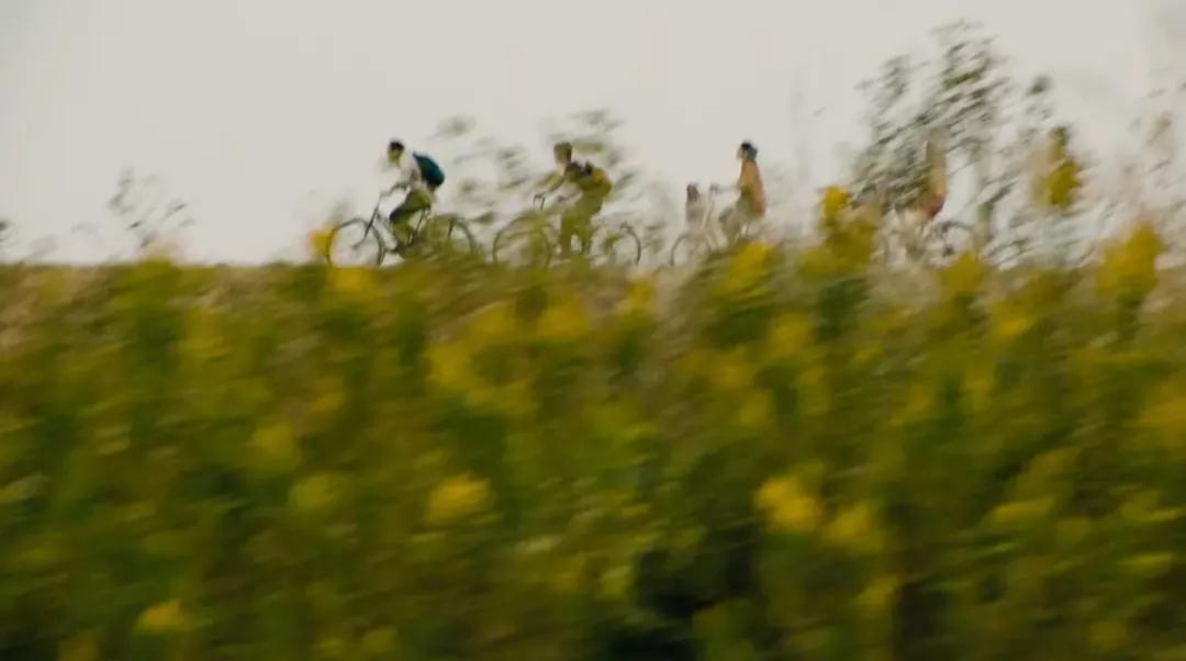 如果全球停电10年会有什么后果,如果全球停电十年会怎样