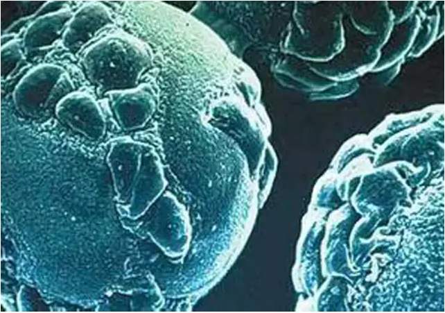 蛇盘疮愈后为什么还疼呢,蛇盘疮最严重会出现什么情况