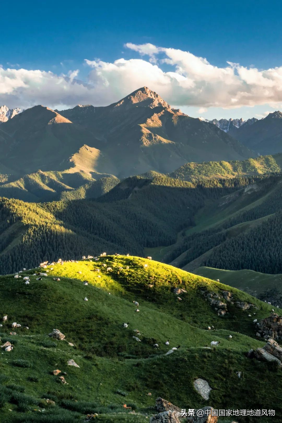 武威郡还是威武郡,武威又称威武吗