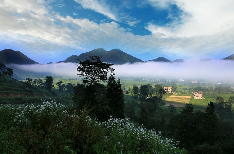 重庆避暑凉快的地方,重庆人都去贵州哪里避暑最好