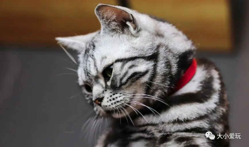 北京主题星空餐厅哪里的好,北京太空舱主题餐厅