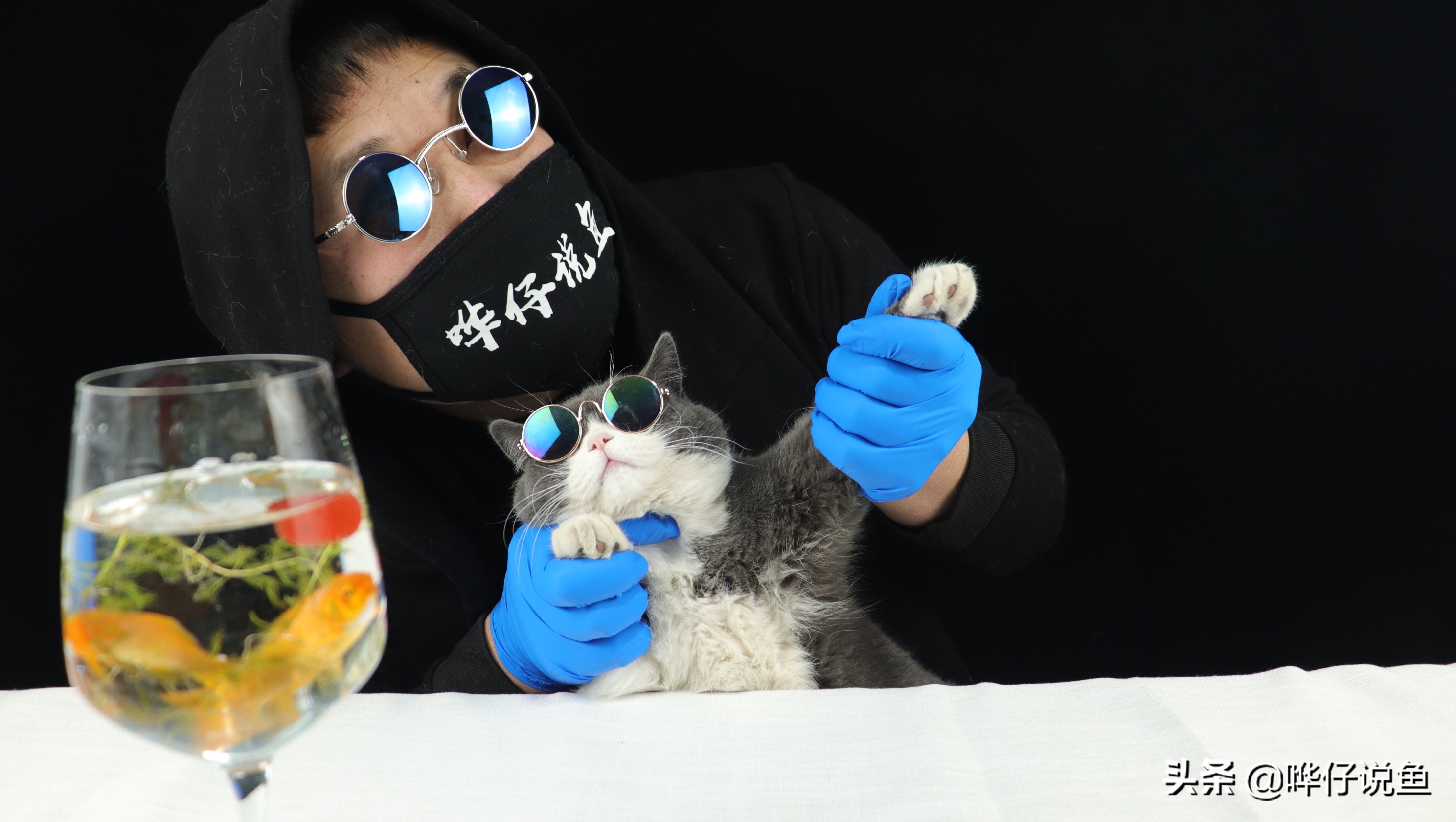 什么鱼适合培养硝化细菌,培养硝化细菌时要不要给鱼喂食