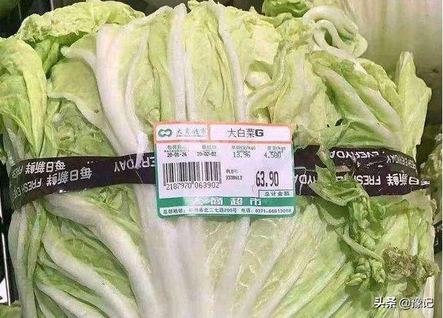 疫路前行共克时艰,战疫之路