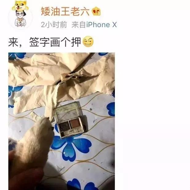 网友发不小心弄坏了女朋友口红怎么办。。。哈哈笑翻了