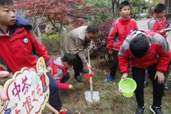 南京市金陵小学南京排名,南京市金陵小学2017