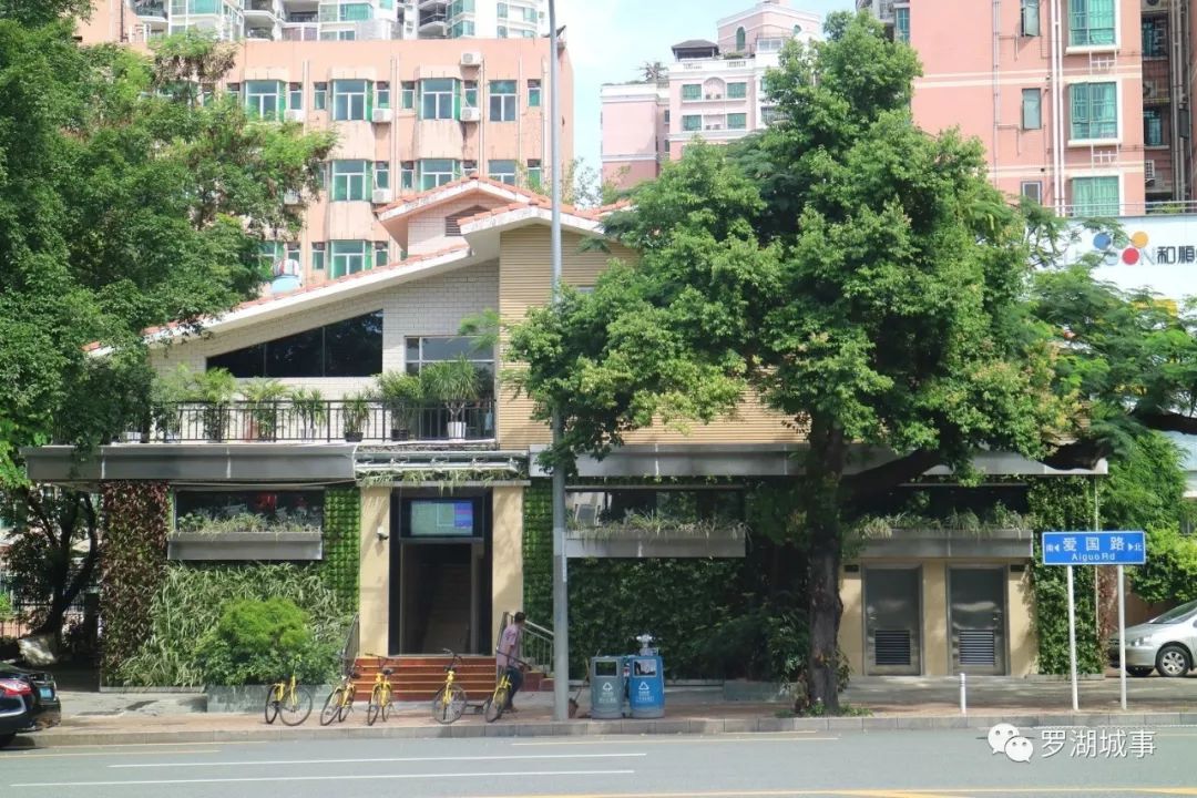 深圳，一个连拉屎都要发朋友圈的城市