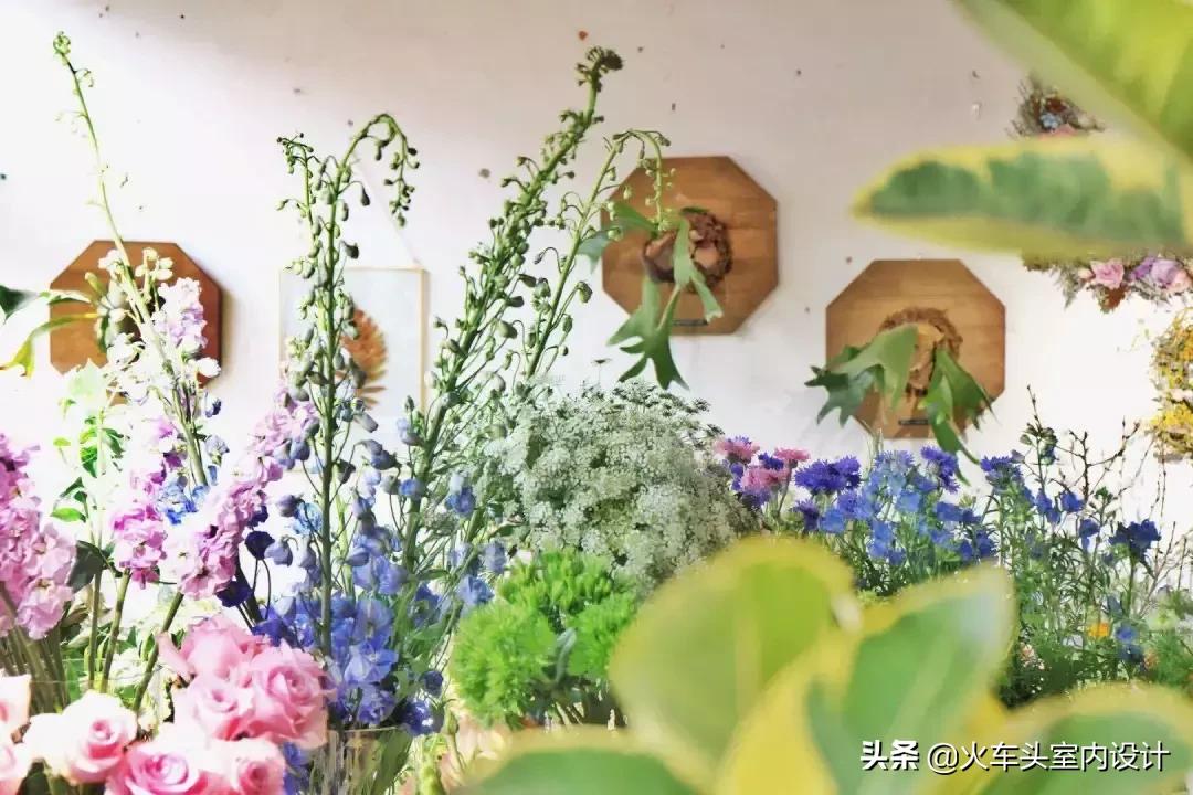 她放弃了总监职位后续,她辞去总监回家扶贫全集