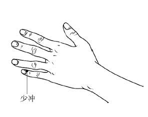 心血不足的合理调理,心血管供血不足按哪个穴位