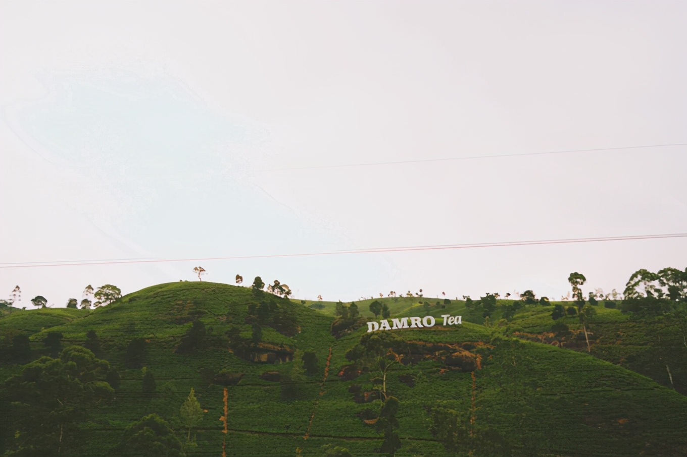 斯里兰卡攻略图片,攻略斯里兰卡旅游最省费用的路线