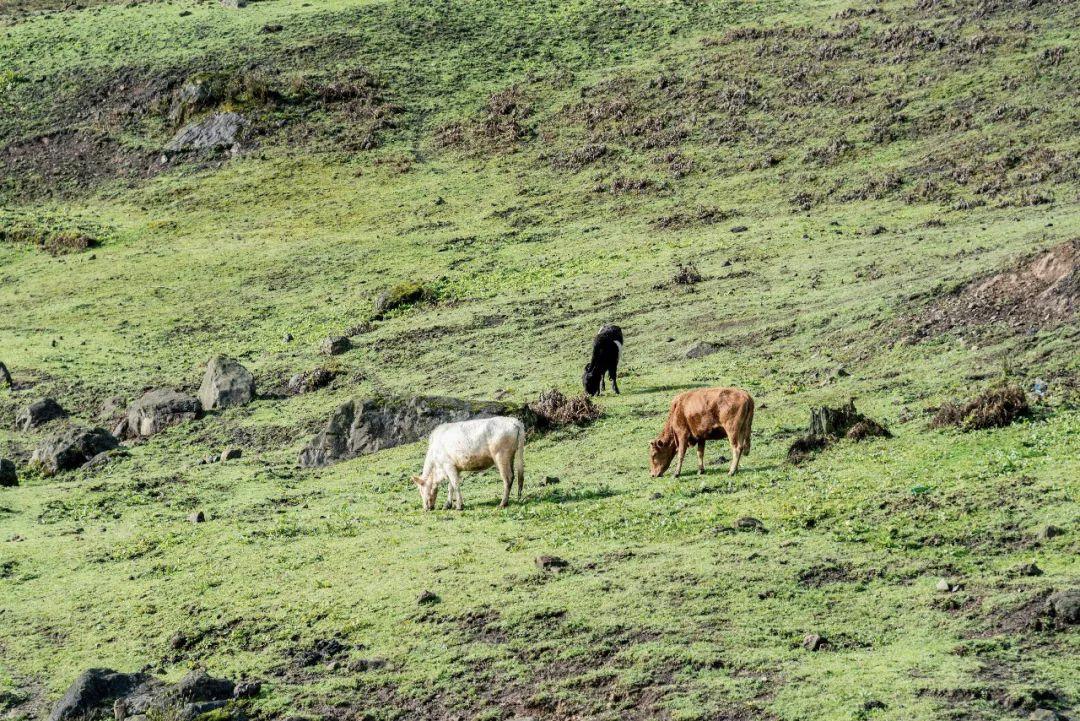 红了！黑竹沟迎来颜值巅峰，分分钟带你穿越五彩童话世界