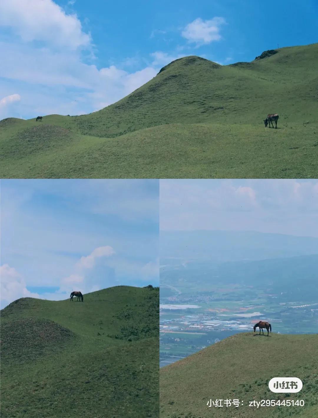 为什么，我一定要劝你来寻甸