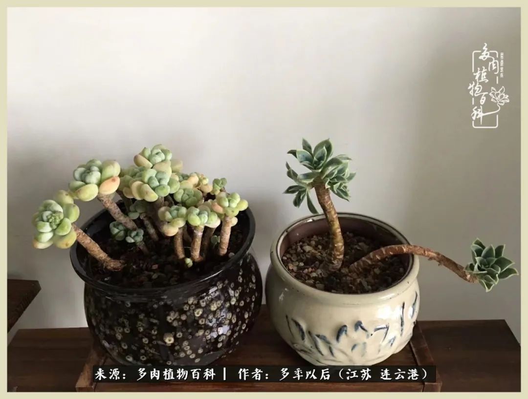 多去花前谈以后，少来月下忆当年