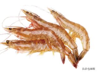 买鱿鱼整个的还是处理好的,买鱿鱼仔有什么需要注意的